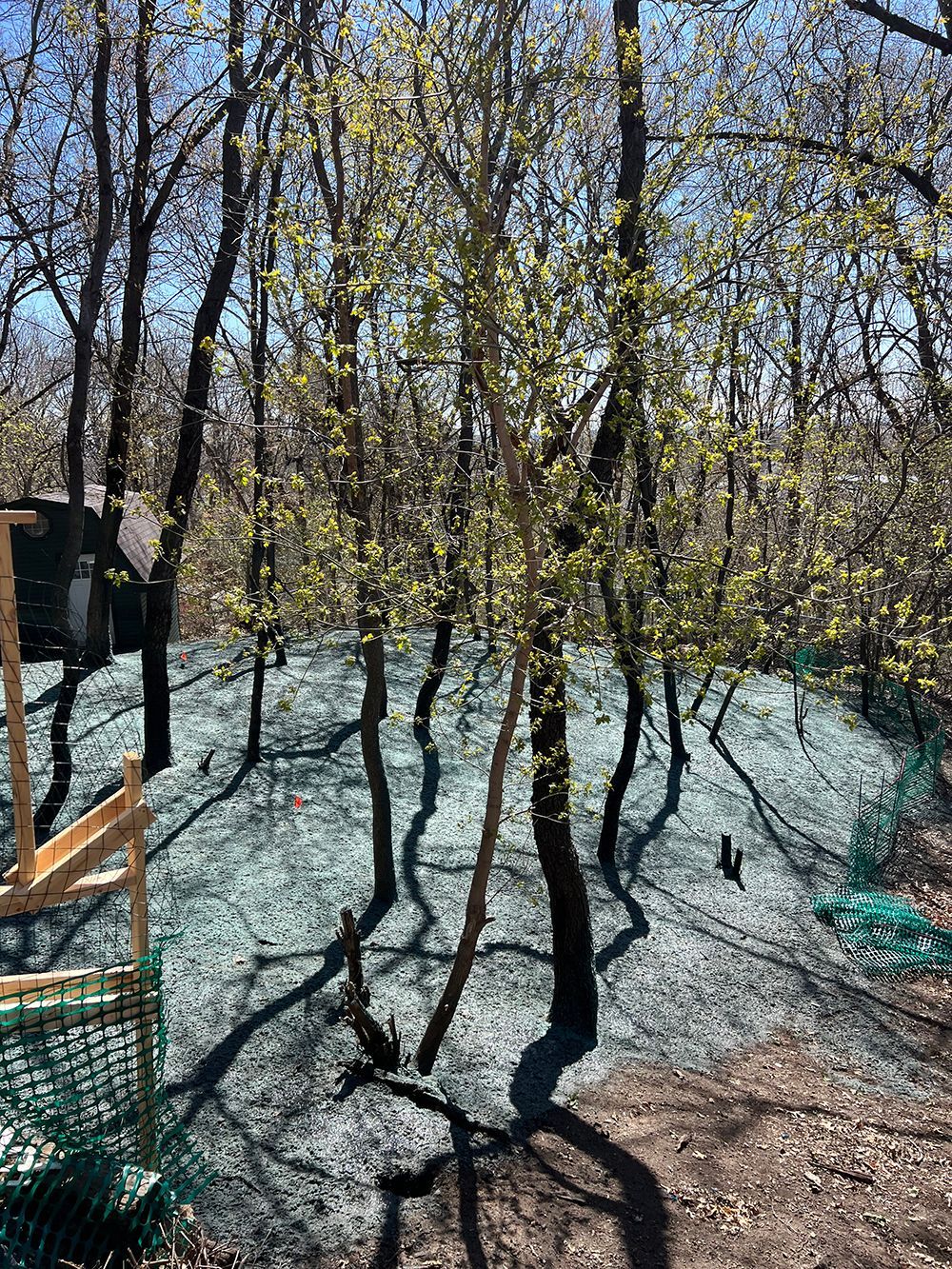 A fenced in area in the middle of a forest with trees and grass
