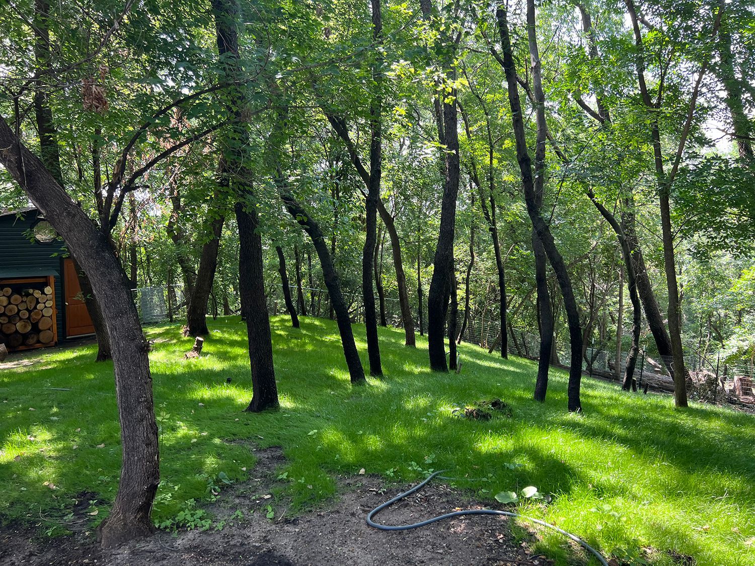 There is a hose in the middle of the woods