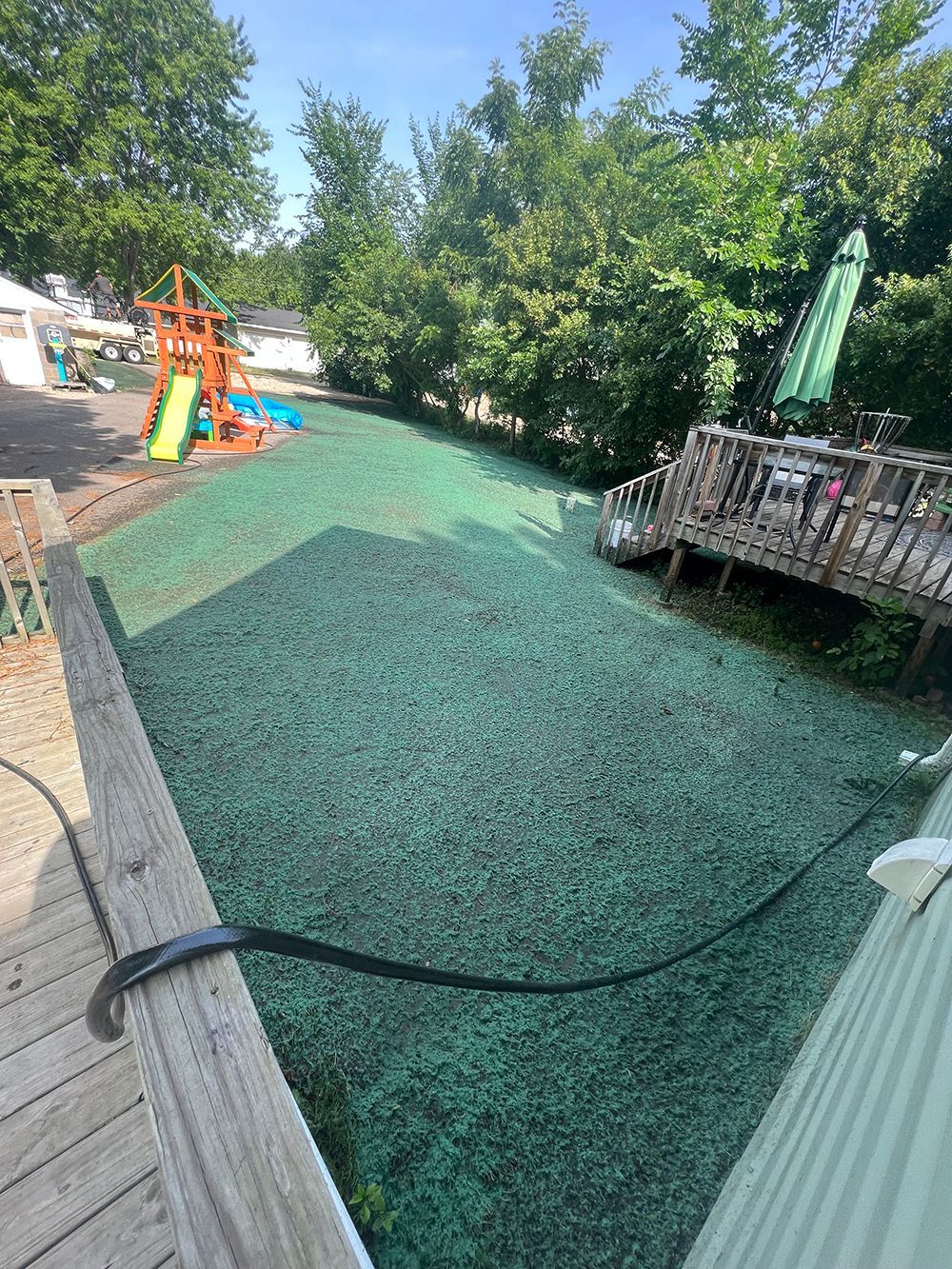A lawn with a playground and a deck in the background