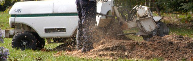 Stump grinding