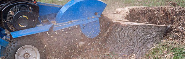 Stump grinding