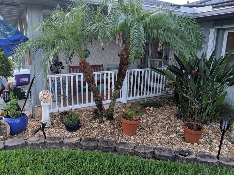 Front yard with palms, a porch, flowerbeds, and solar lights.