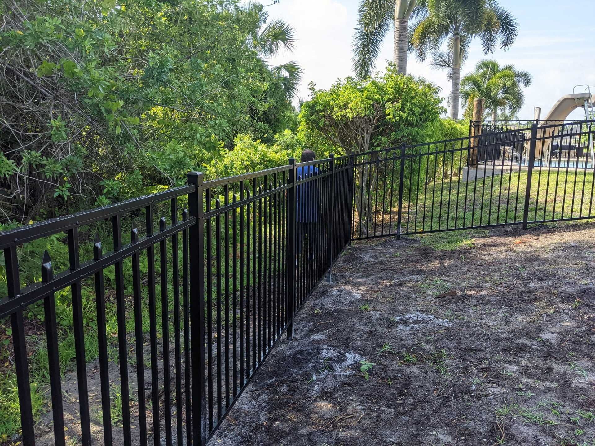 Black metal fence surrounds a landscaped yard with green foliage and palm trees under a sunny sky.