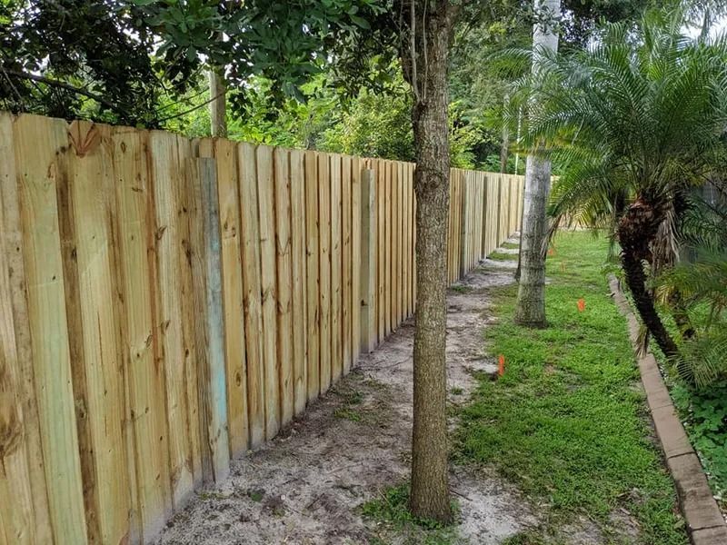 Wooden fence in a yard with a small tree in the foreground. Green grass and trees are in the background.