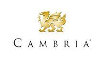 Cambria logo with a golden dragon above the brand name 