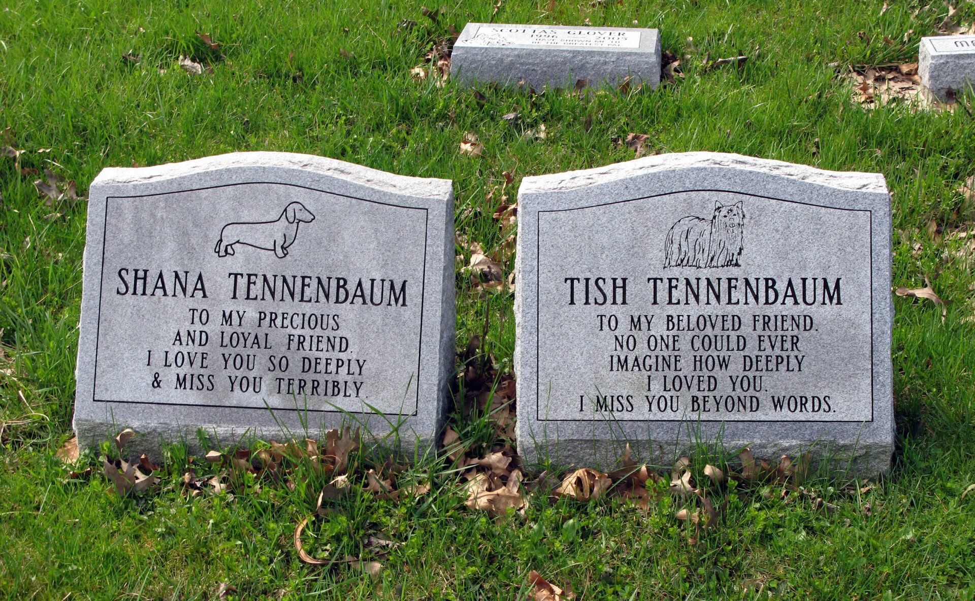 Pet Monument