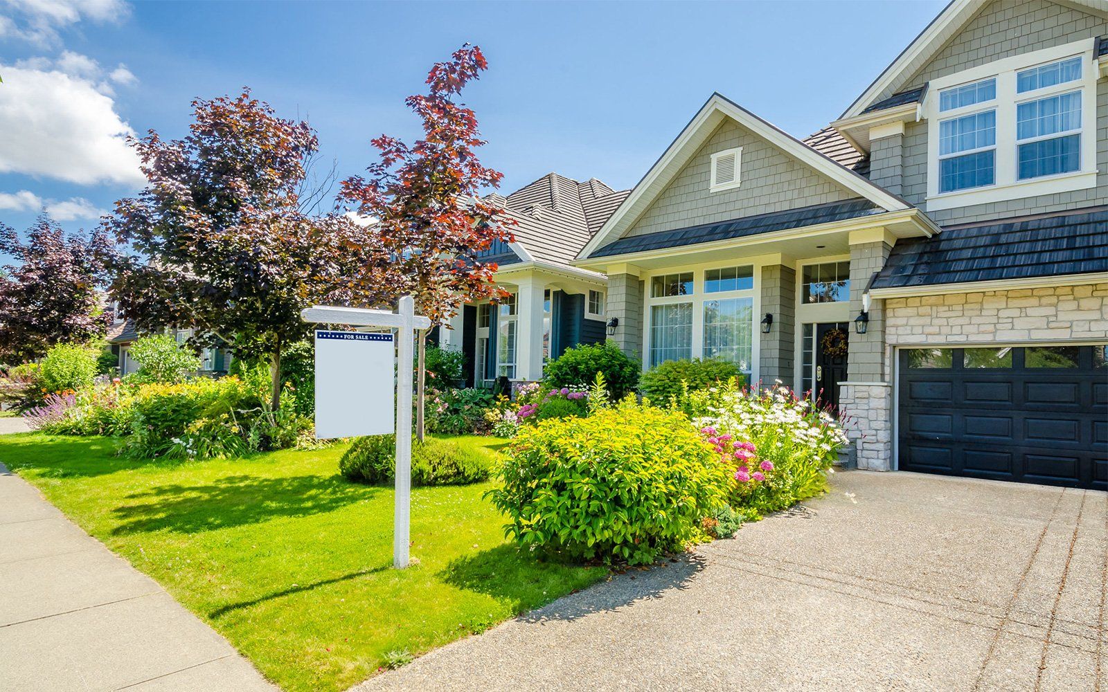 Homeowner and renter