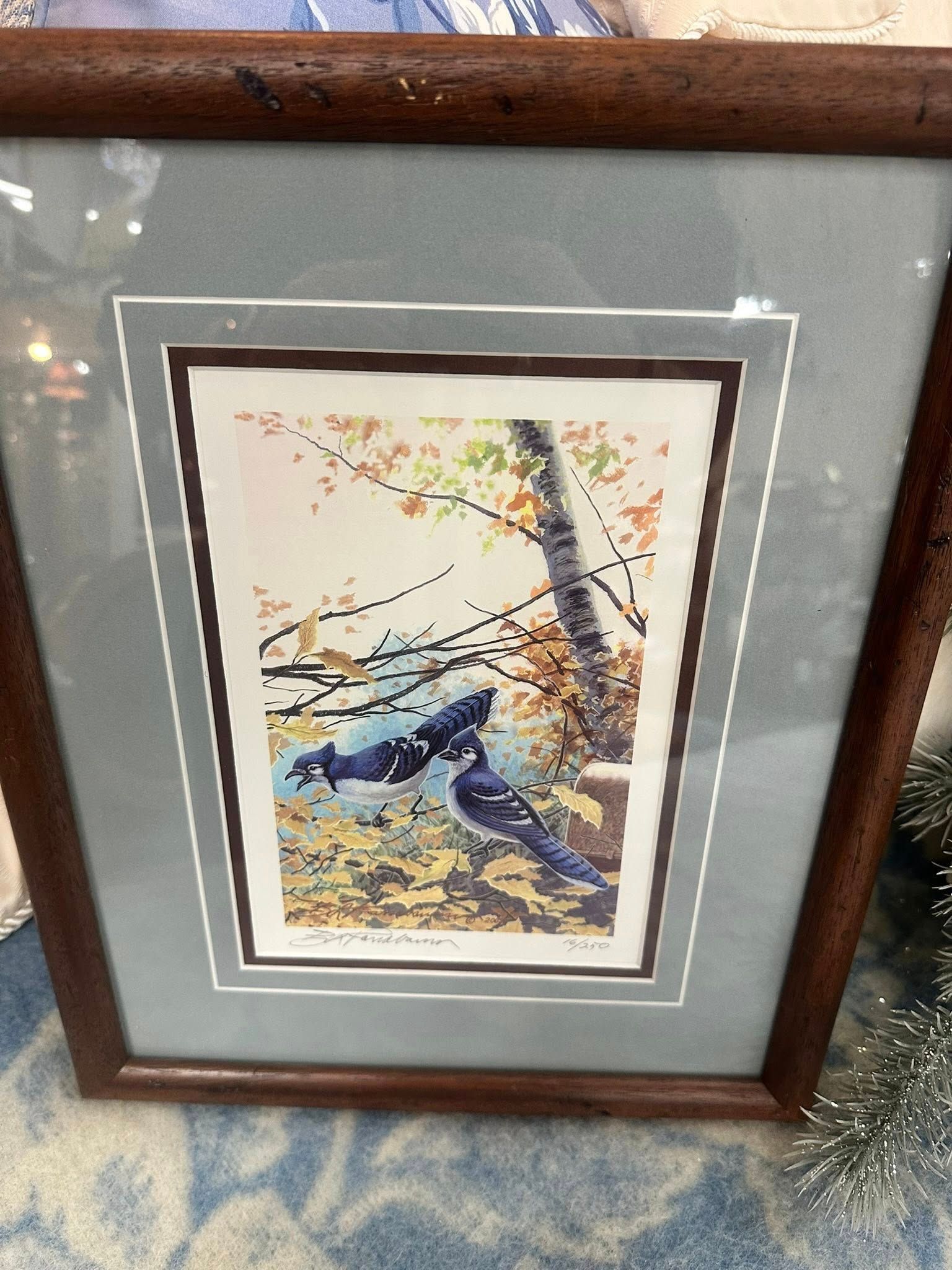 Framed artwork: Two blue jays on ground near a tree with colorful autumn leaves.