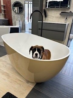 A dog is sitting in a bathtub in a bathroom.