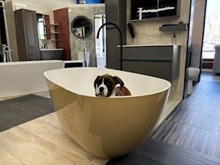 A dog is sitting in a bathtub in a bathroom.