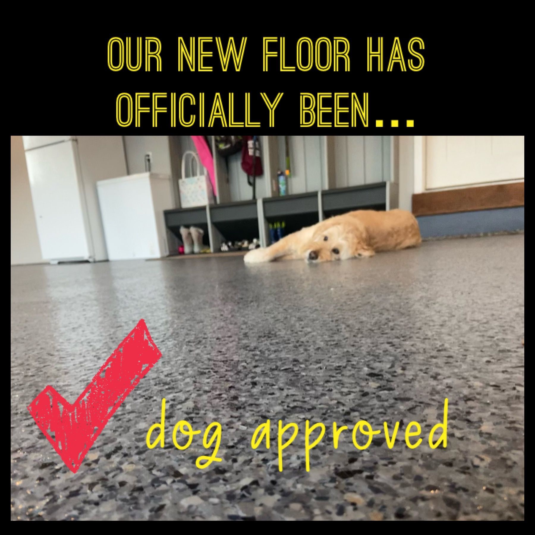Golden retriever lying on a speckled floor with text: “Our new floor has officially been… dog approved.”