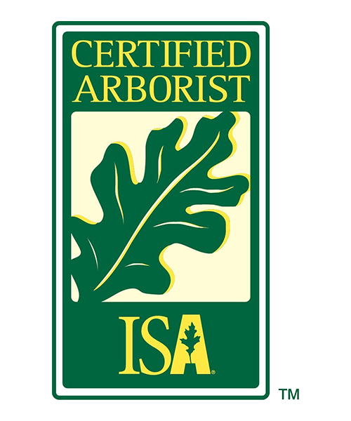 ISA Qualifications Tree Risk Assessment