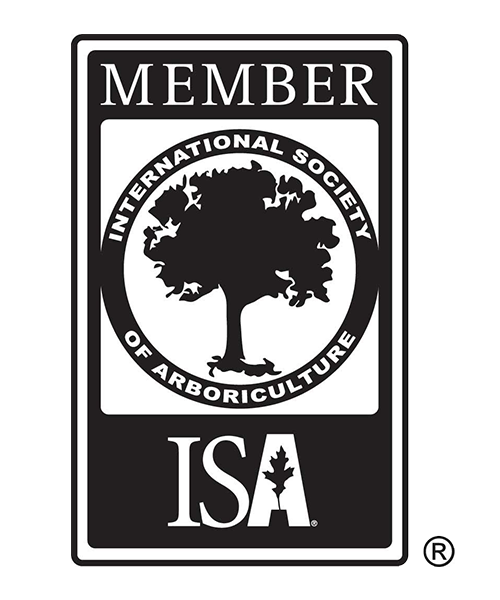 ISA