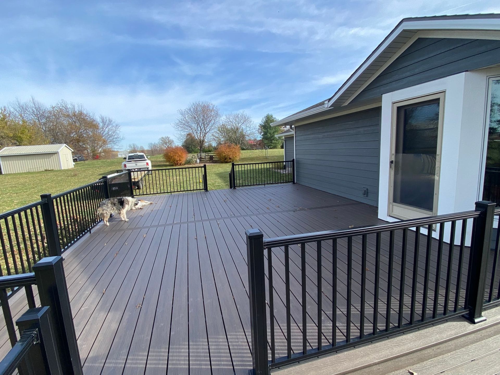 Large composite deck with black railing, a dog, and house with blue siding on a sunny day.