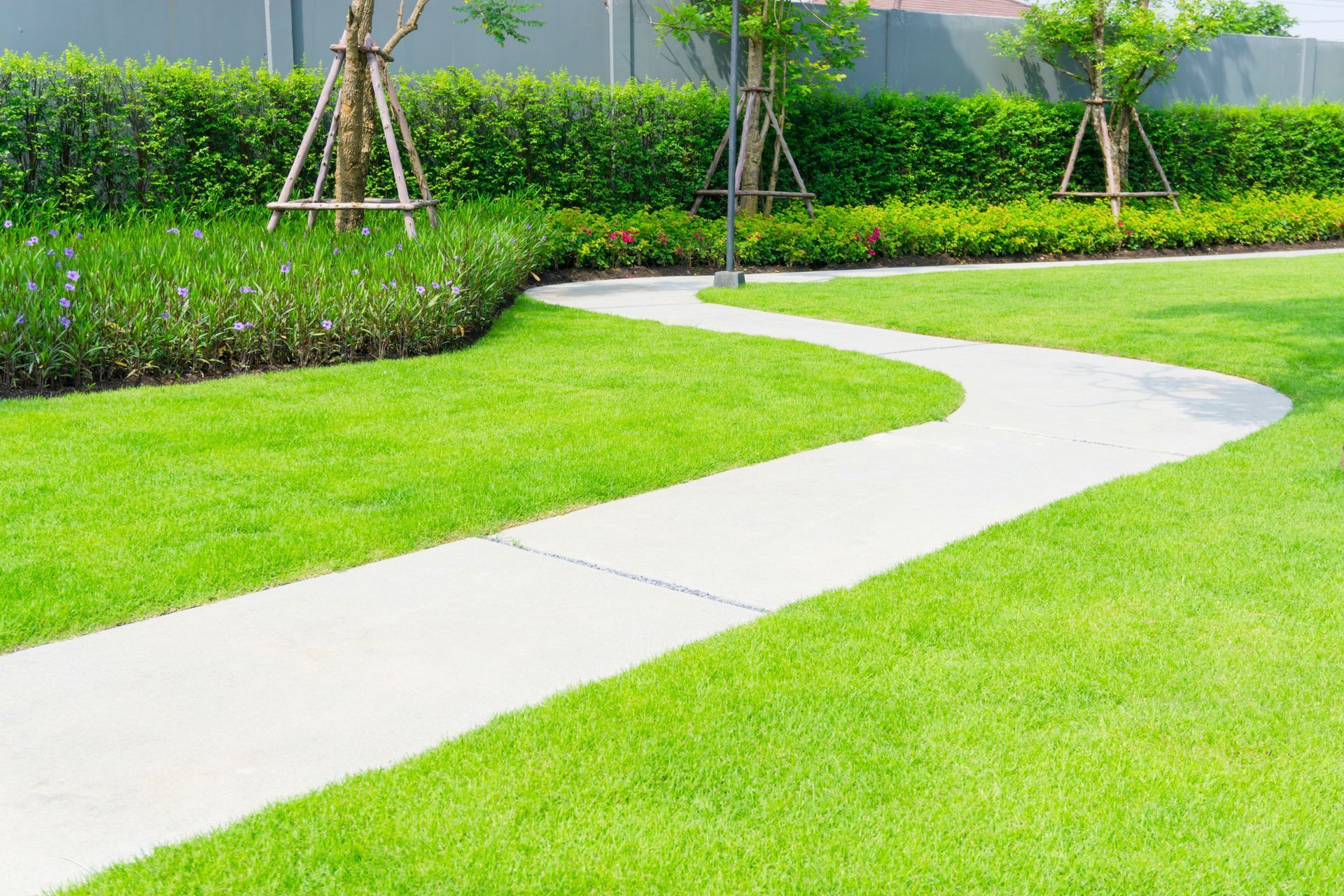 Winding concrete path through green lawn and landscaping, bordered by hedges and trees.