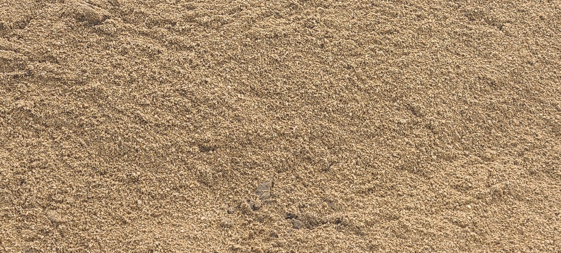 Close-up of tan gravel or sand texture covering the frame