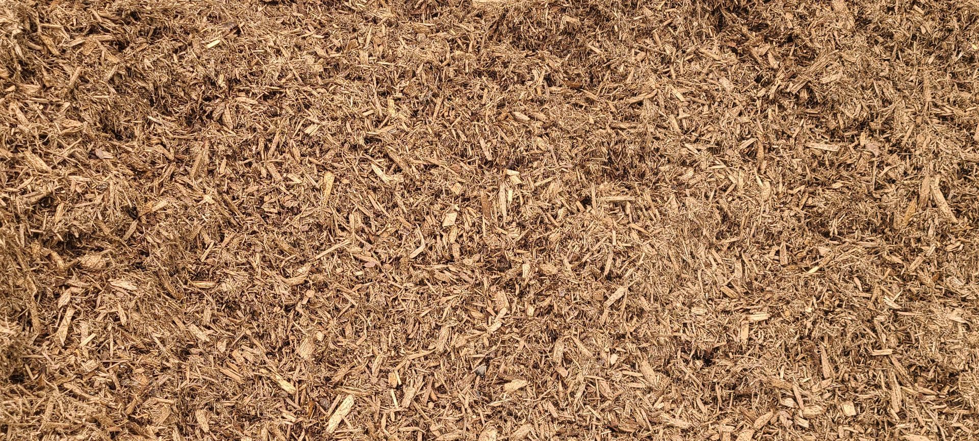 Close-up of brown mulch or wood chips filling the frame