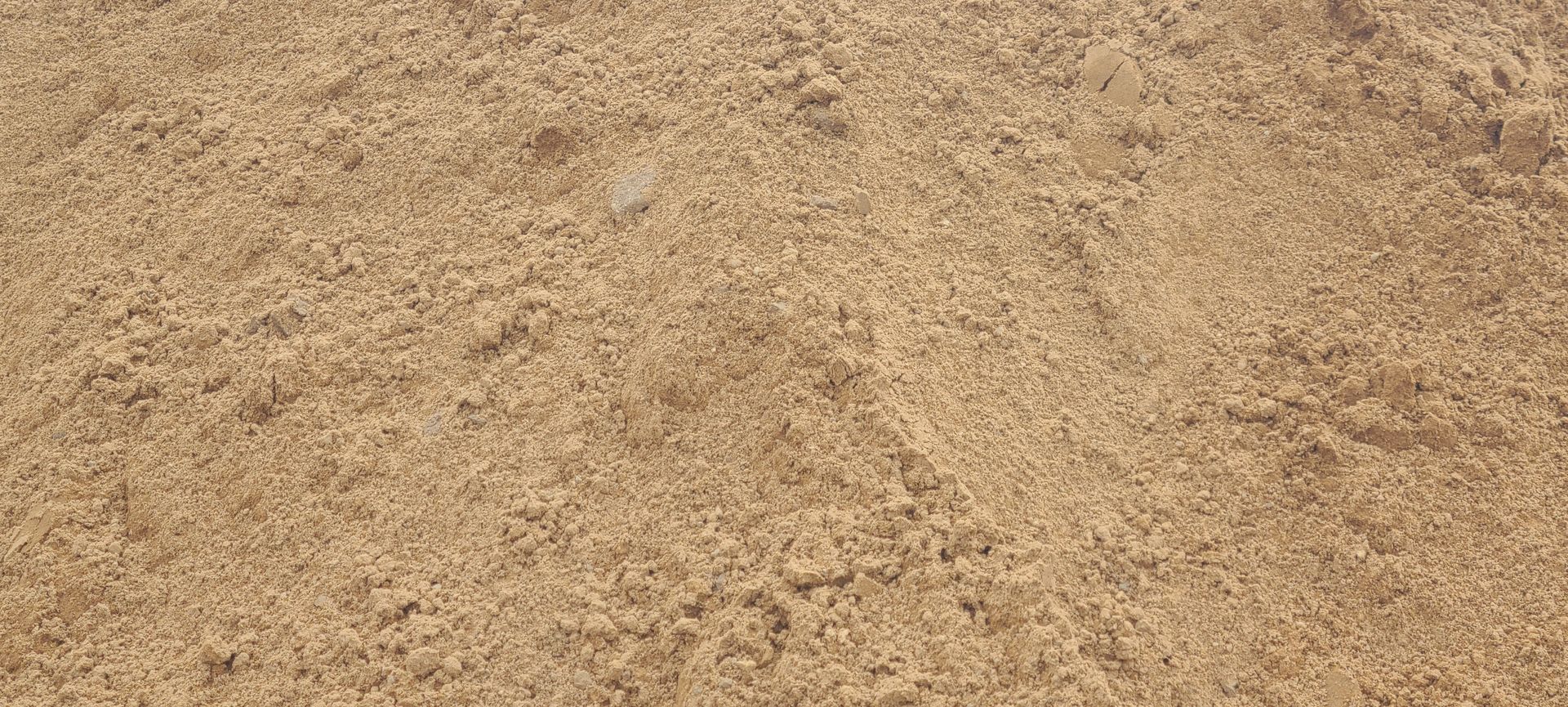 Close-up of dry, tan sandy ground with a rough, granular texture