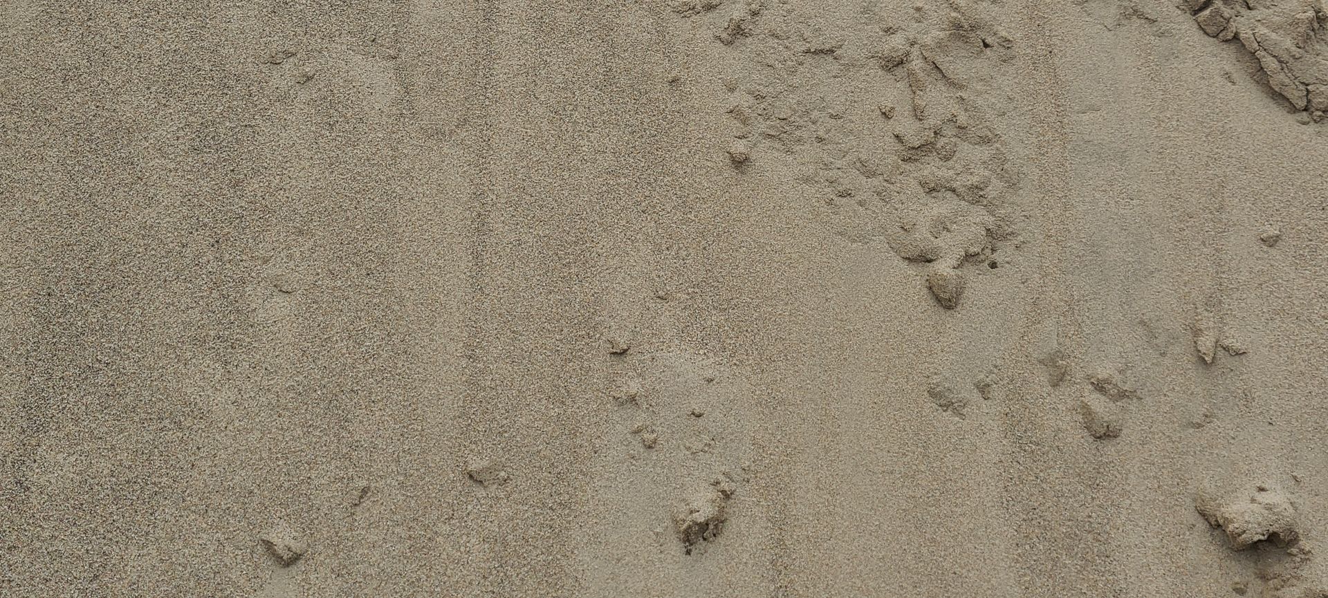 Sandy ground with a trail of small animal footprints