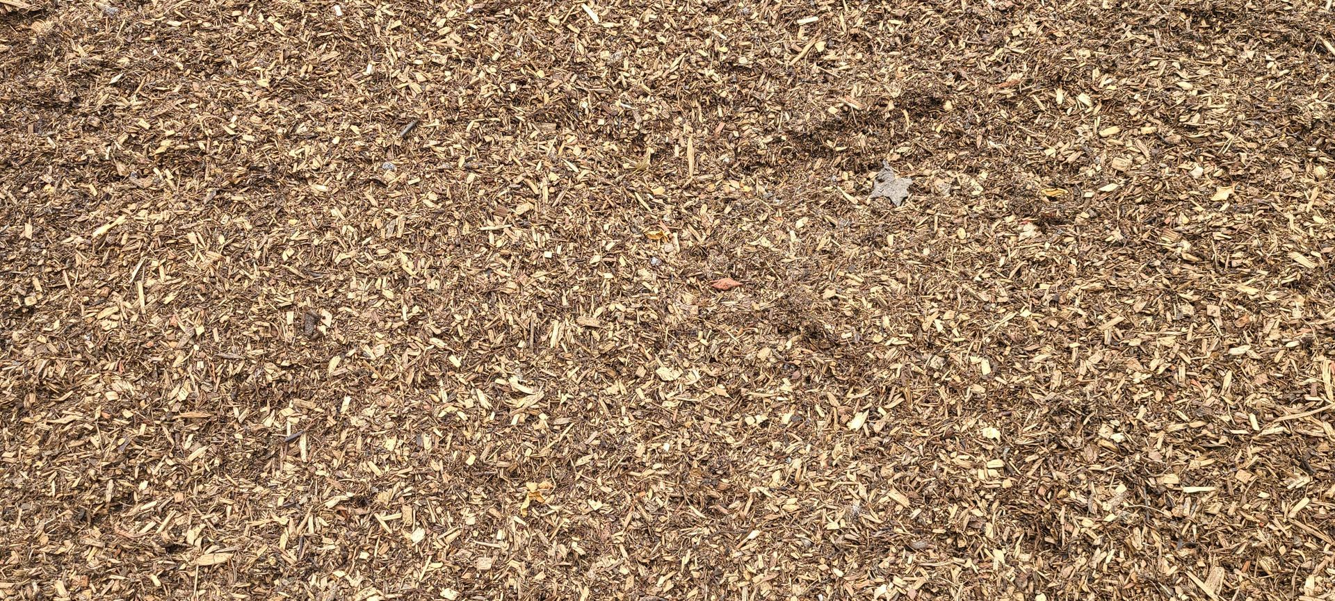 Close-up of tan wood chips or mulch filling the frame, creating a textured ground surface.