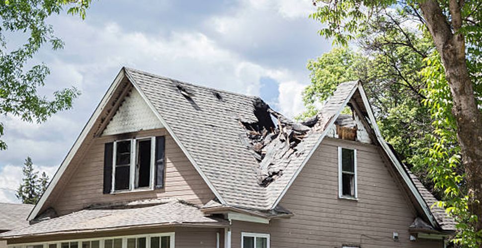 A tree has fallen on the roof of a house