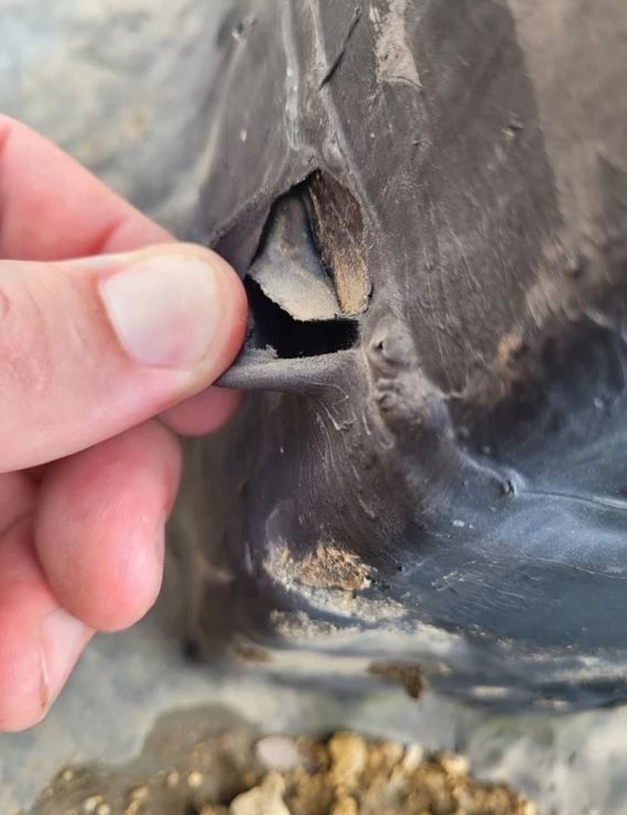 Roof repair and maintenance