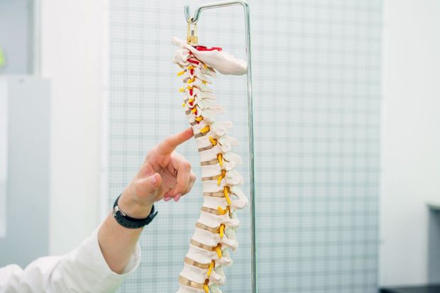 Hand pointing to a spine model with colored vertebrae on a stand in a clinical setting