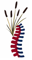 Meadowlands Chiropractic Center P. A.