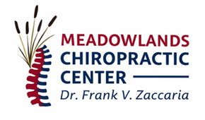 Meadowlands Chiropractic Center P. A. - logo