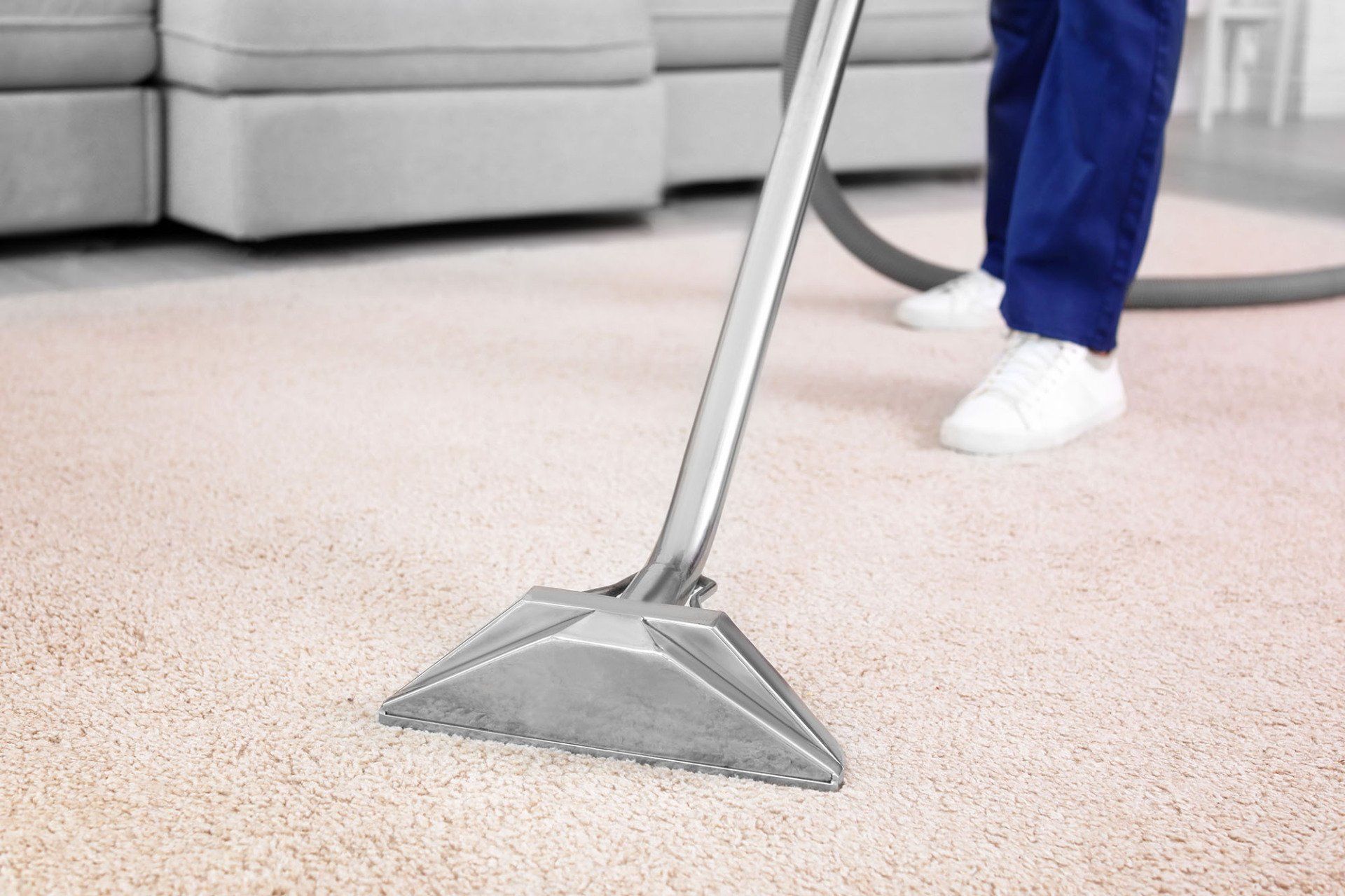 Carpet cleaning services