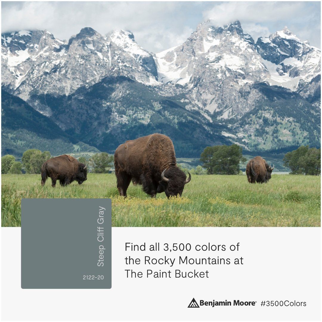 3,500 colors of the Rocky Mountains at The Paint Bucket Steep Cliff Gray # 2122-20