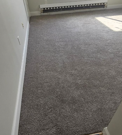 Empty carpeted room with white walls and sunlight near the window