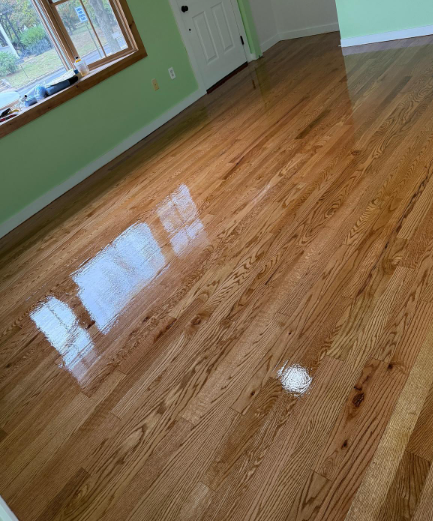 Shiny hardwood floor in an empty room with green walls and a window reflection