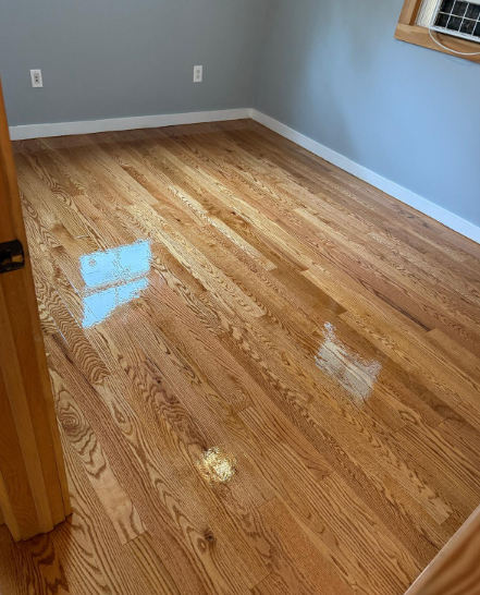 Empty room with glossy refinished hardwood floor, gray walls, and a window