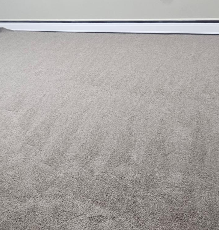 Light gray carpeted floor meeting a white baseboard along the top edge.