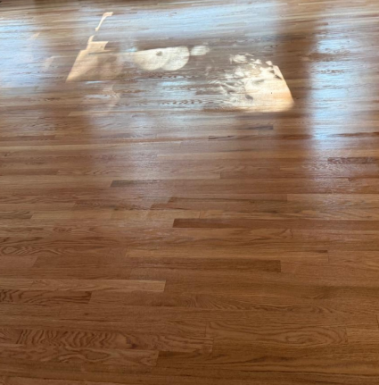 Sunlit hardwood floor with bright reflections and a white shape near the top.