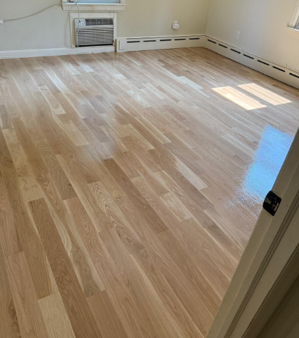 Empty room with light hardwood floors, white walls, and sunlight streaming in through a window.