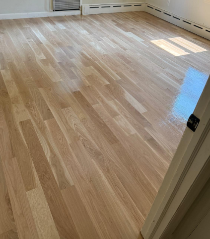 Empty room with light wood flooring and sunlight on the floor near a doorway.