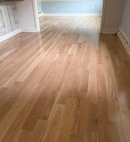 Empty room with light wood flooring, pale blue walls, and a doorway on the left.