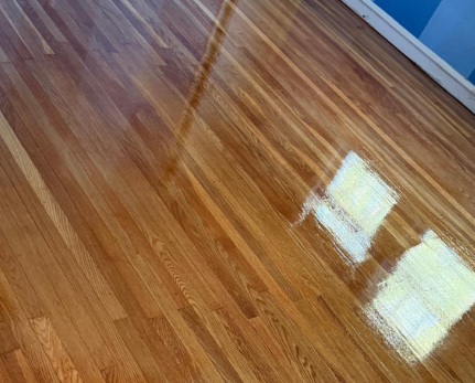 Shiny hardwood floor with sunlight reflections near a wall and doorway