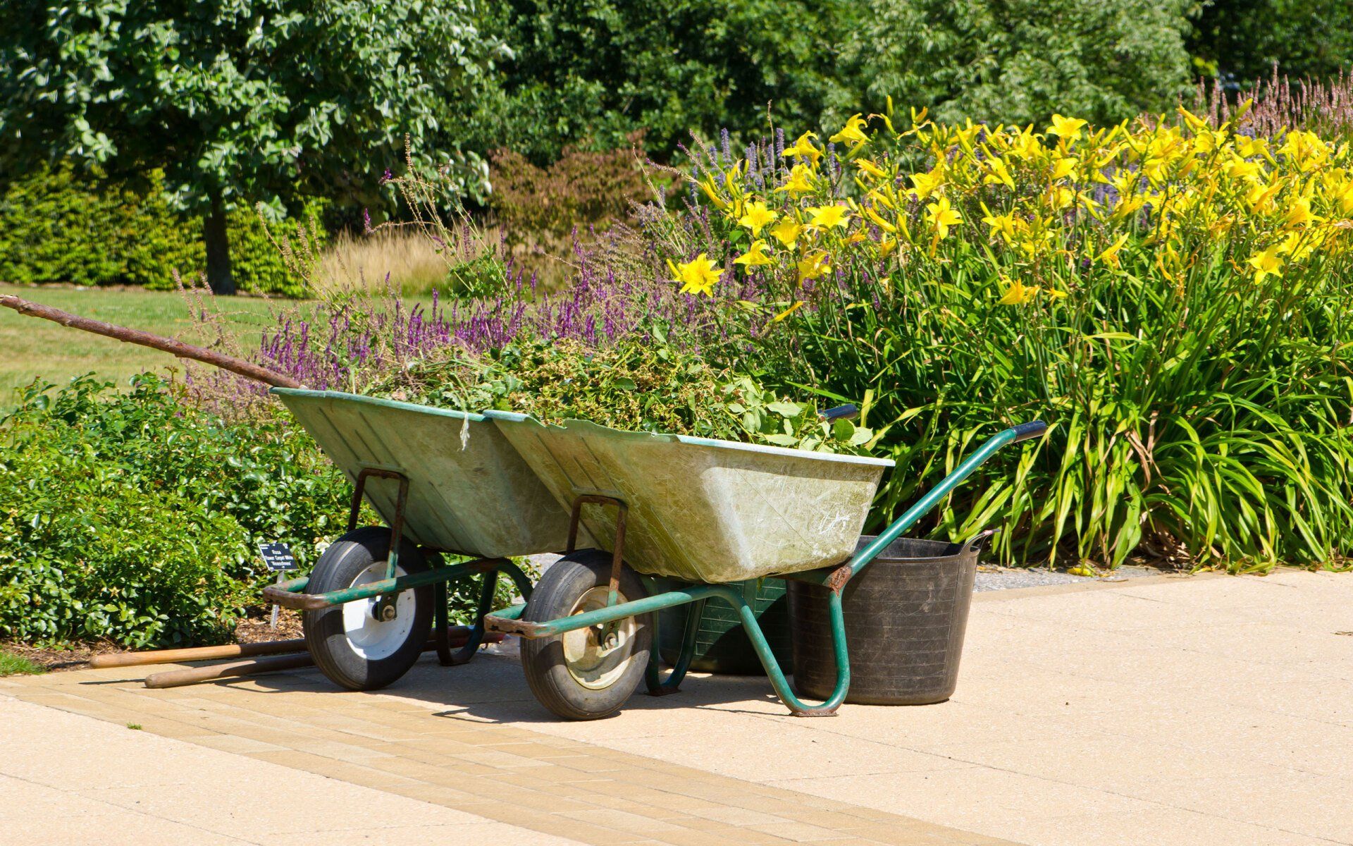lawn cleanups