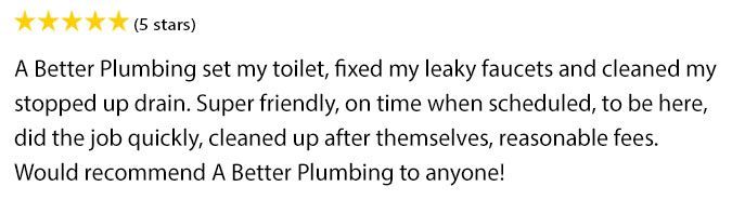 A review of a better plumbing set my toilet fixed my leaky faucets and cleaned my stopped up drain.