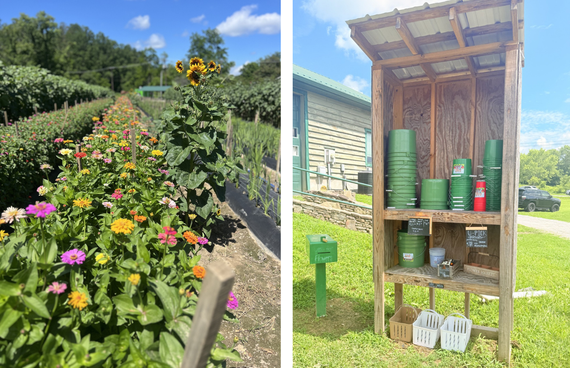 A row of flowers next to a shed filled with green pots.