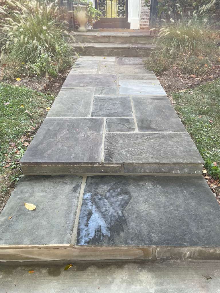 Stone walkway with steps leading to a house entrance, bordered by shrubs and grass.