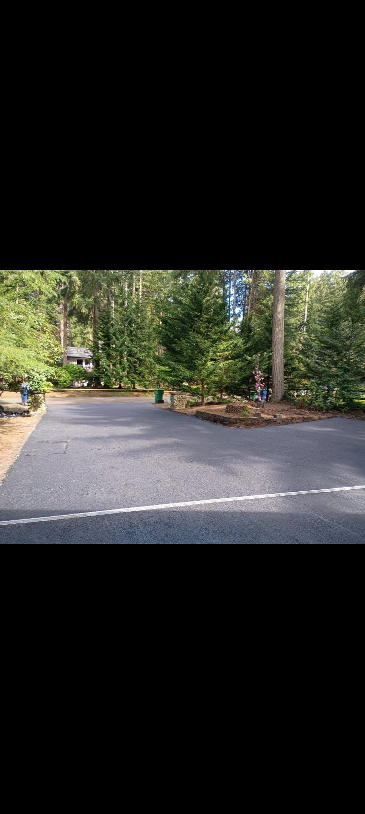 Quiet paved road curving through a wooded park with trees and low landscaping on both sides