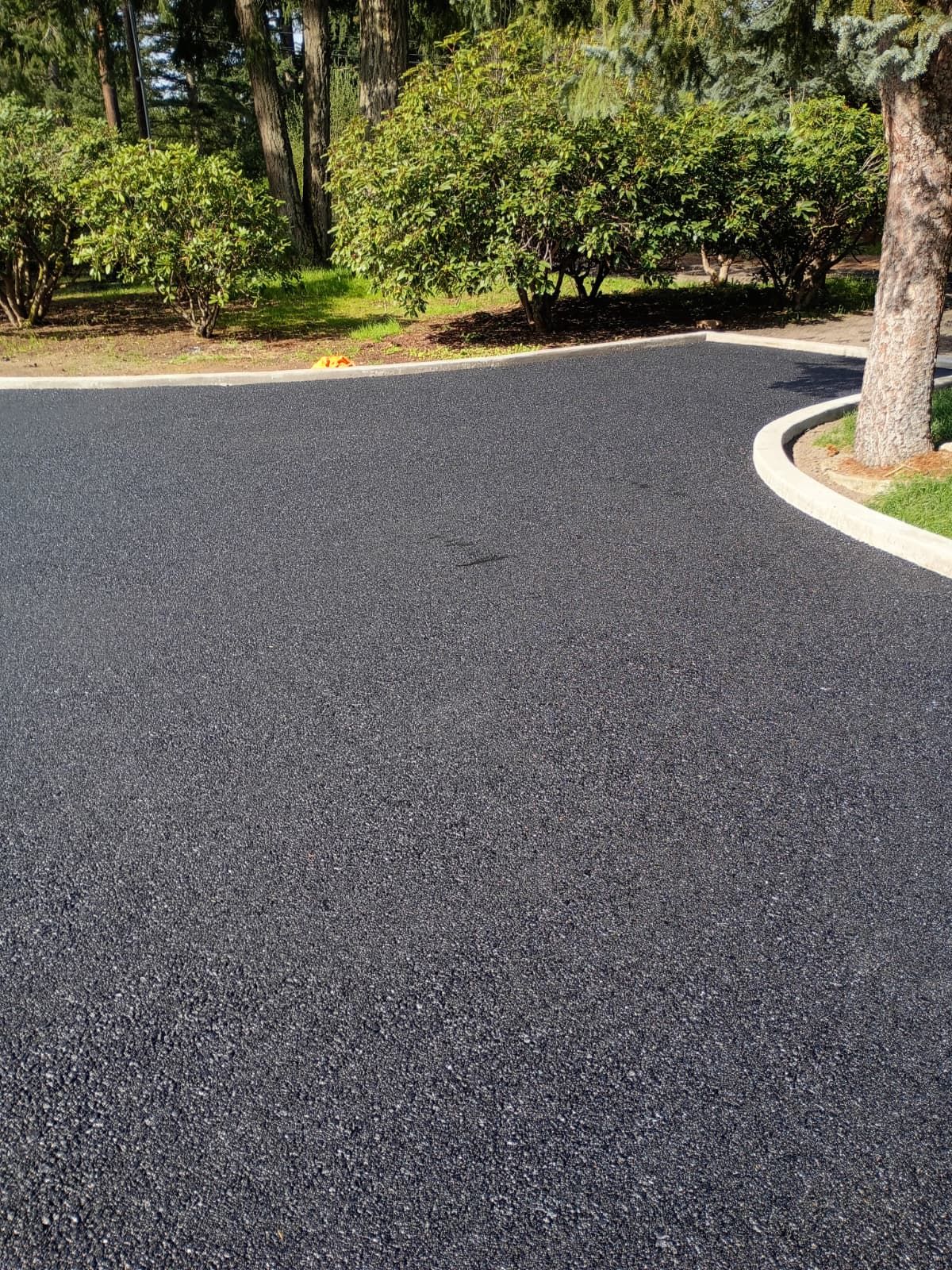Curved paved driveway with trees and greenery along the edge