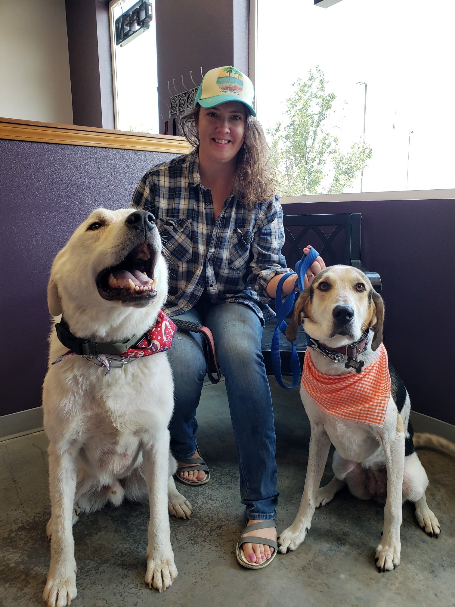 Animal House Self Service Dog Grooming Gallery Kennewick WA