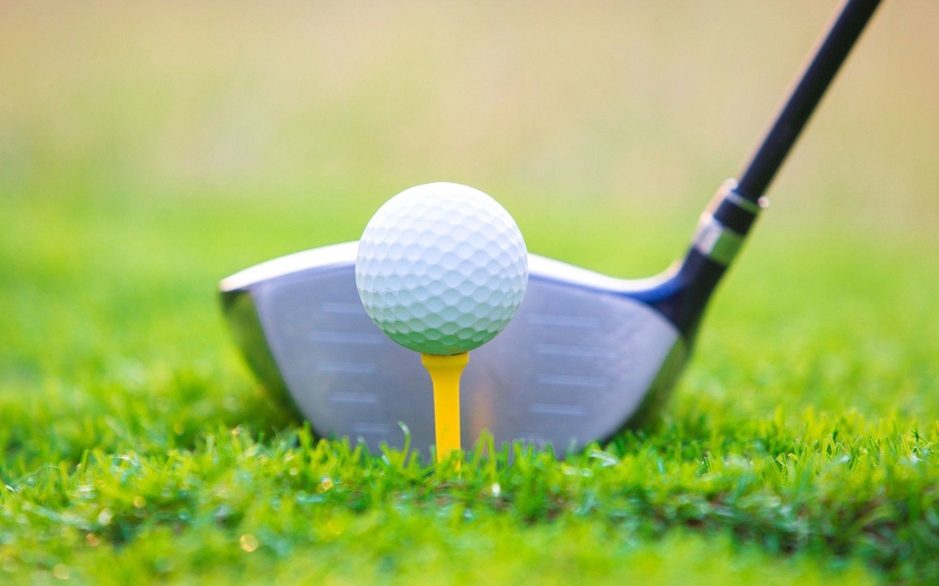 Franks Golf Clubs Golf Accessories Kansas City, KS