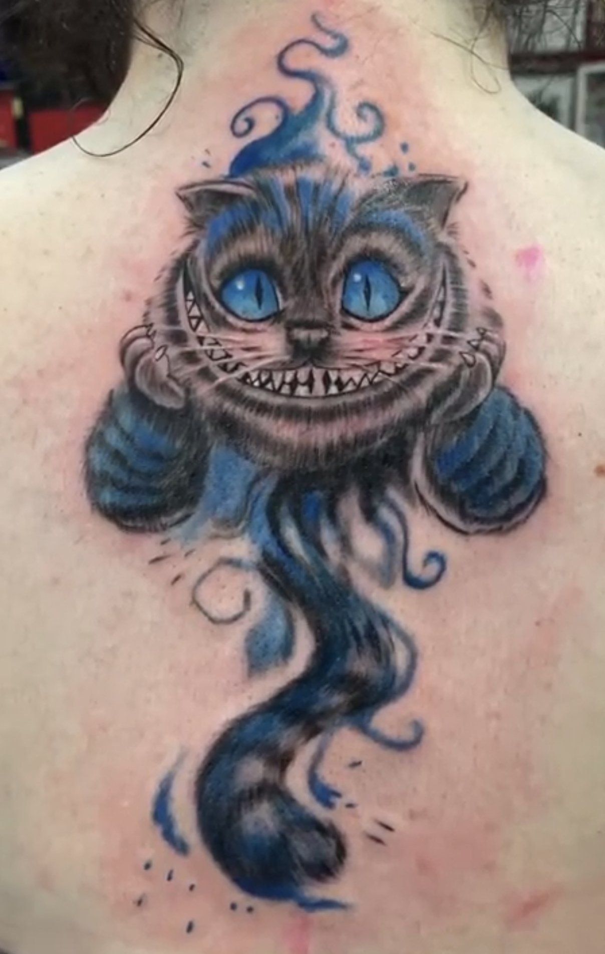 tattoo cat with blue eyes