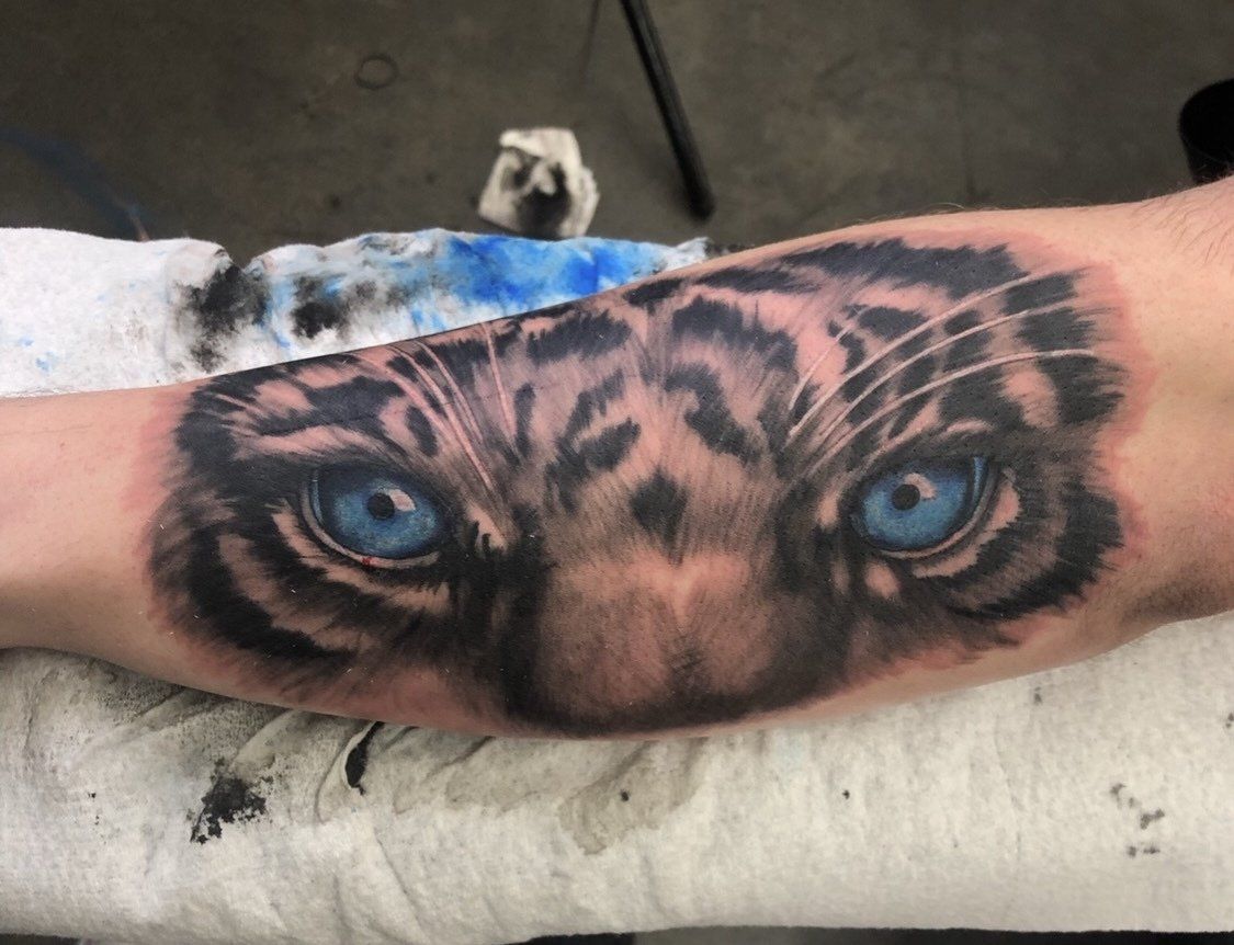 tattoo tiger blue eyes
